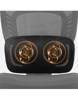 Mark Adler Visioner 6.1 Negru Scaun de Birou